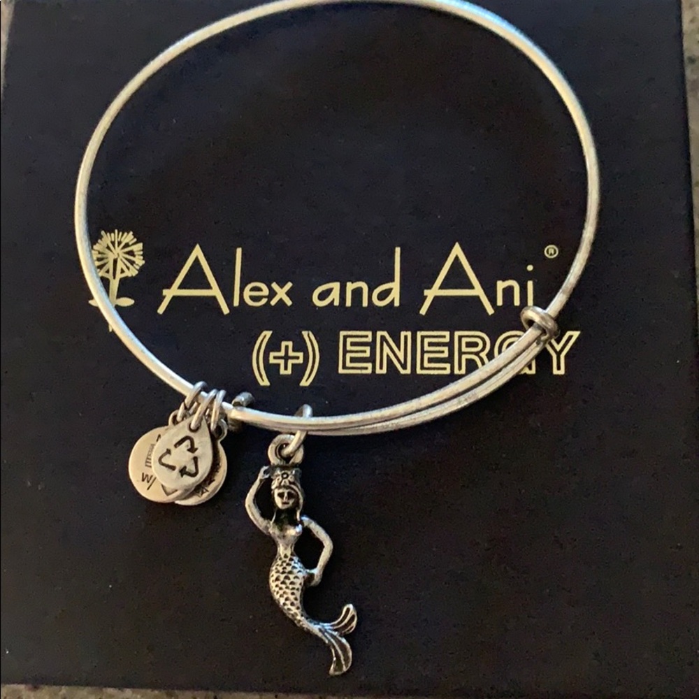 Alex and Ani Bracelet